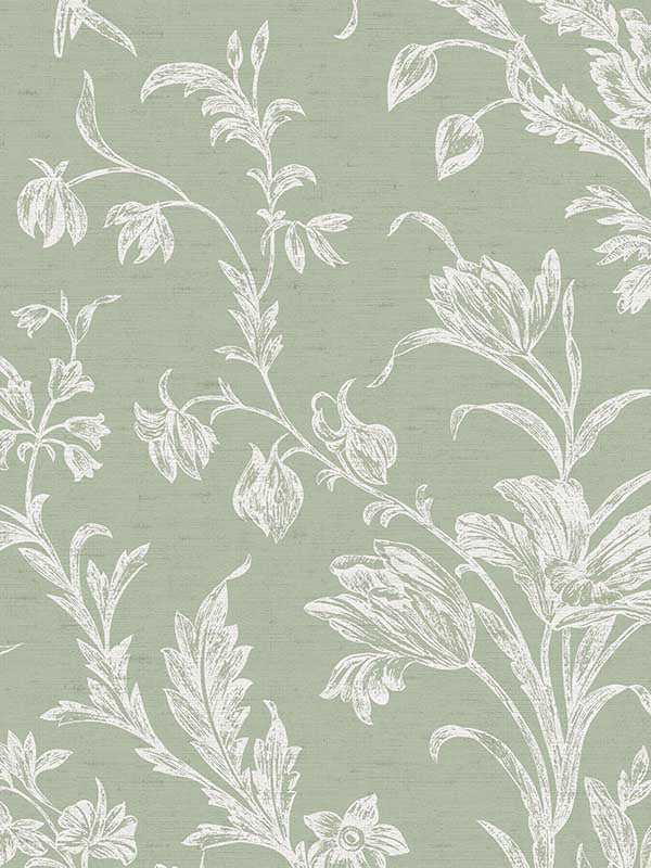 Lloyd fabric in sage green color - pattern number 130116 - by Laura Ashley in the Laura Ashley Spring Summer 2025 Collection collection