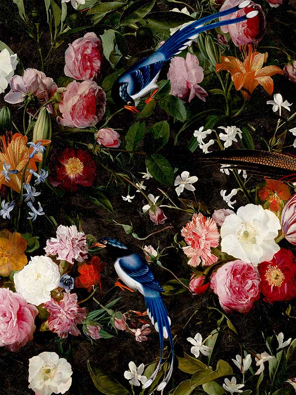 Transform Birds and Blooms Peel and Stick fabric in multi color - pattern number 129702 - by Graham and Brown in the Transform Drop 3 Peel and Stick Wallpaper collection