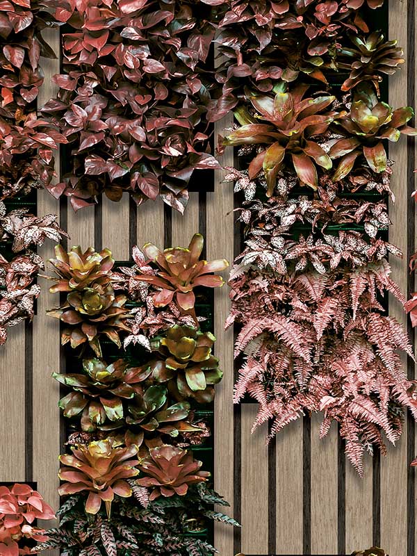 Vertical Garden fabric in red color - pattern number VRAR10-497 - by Veer Decor in the Artifice collection