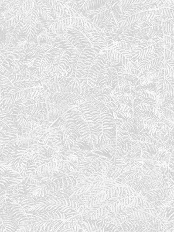 Fern Texture fabric in white color - pattern number VRBT00-894 - by Veer Decor in the Botanique collection