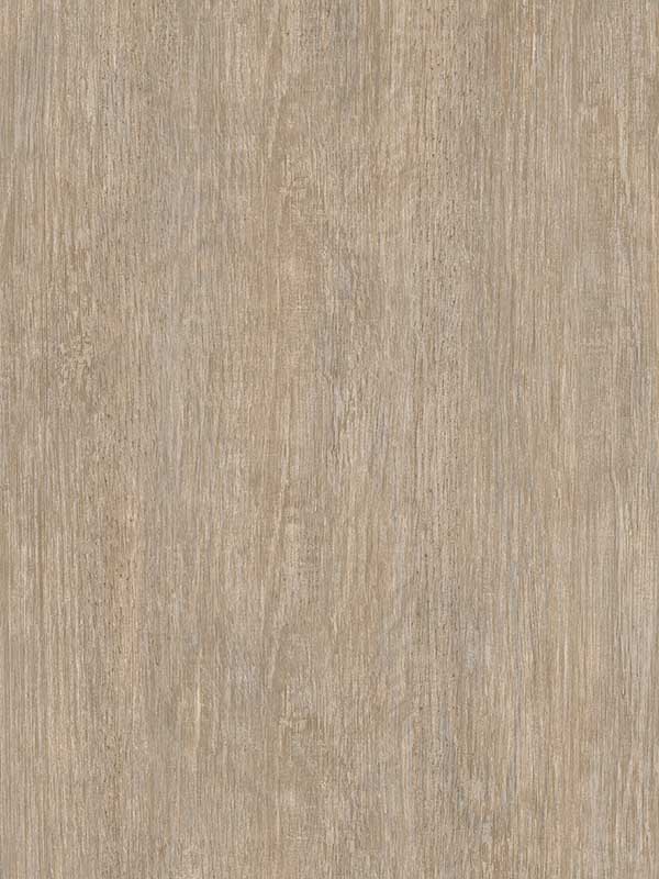 Soft Grain Wood Texture fabric in brown color - pattern number VRBR08-467 - by Veer Decor in the Brut collection