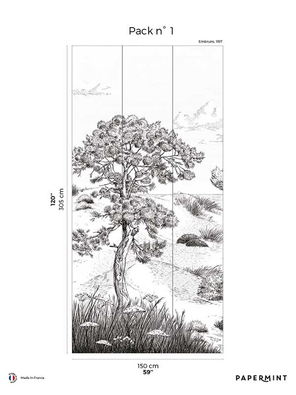 Wild Coast Pack 1 fabric in gray color - pattern number 8184-AR1-A - by Veer Decor in the Papermint Wall Murals collection