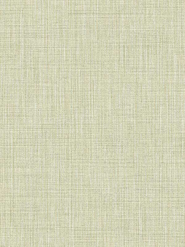 Linen Look fabric in green color - pattern number IT22085 - by Galerie in the Italian Textures 3 collection