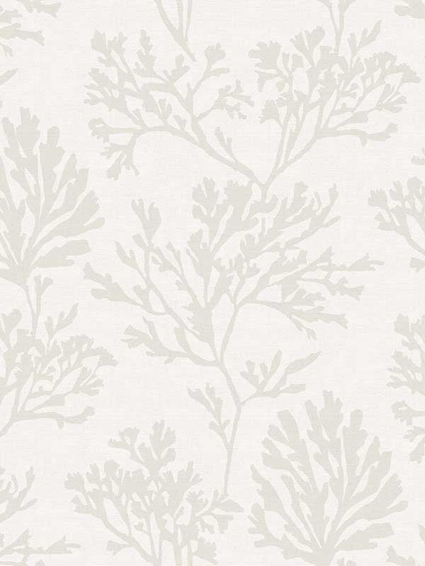 Tortuga Coral Weave wallpaper in dove color - pattern number 4172-82001 - by A Street Prints in the Sea Salt collection