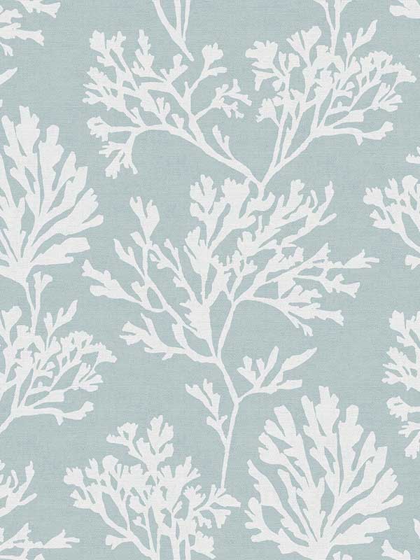 Tortuga Coral Weave wallpaper in sky blue color - pattern number 4172-82003 - by A Street Prints in the Sea Salt collection