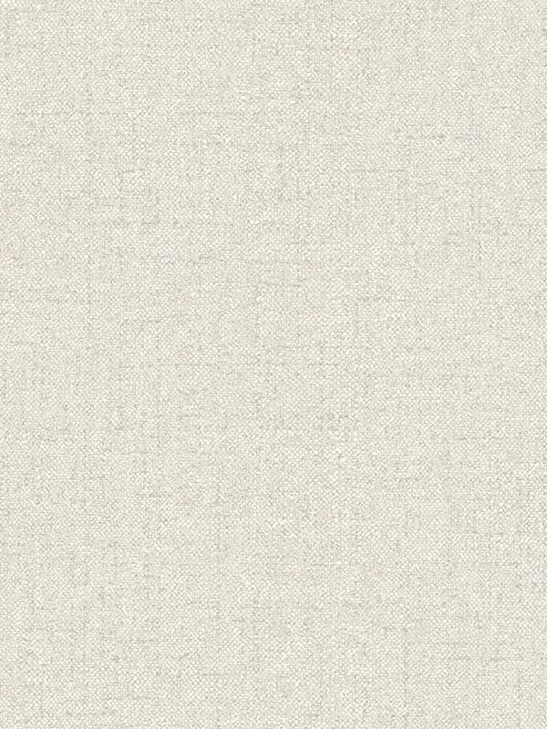 Kameez Texture wallpaper in grey color - pattern number 4148-27431 - by Chesapeake in the PrintWorks collection