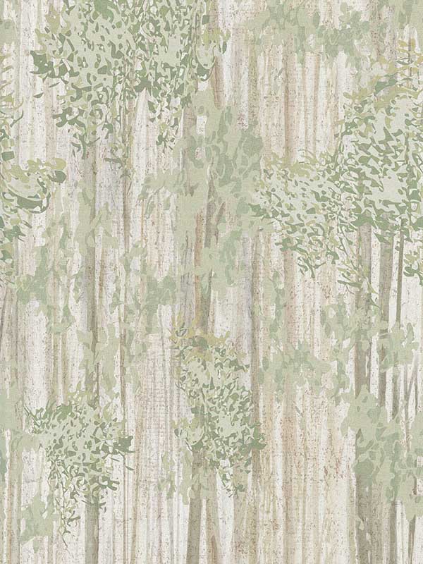 Aspen Grove mural in forest color - pattern number GN2606M - by York in the Woodnote collection
