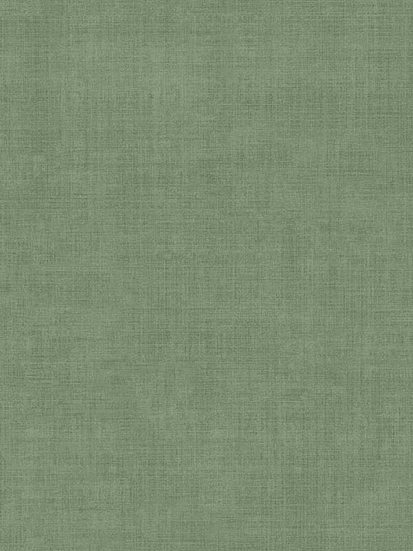 Vava Smaragd wallpaper in dark green color - pattern number MB16040 - by York in the Daydream collection