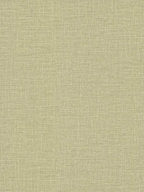 Loom fabric in green color - pattern number SI26148 - by York in the Artisan Studio collection