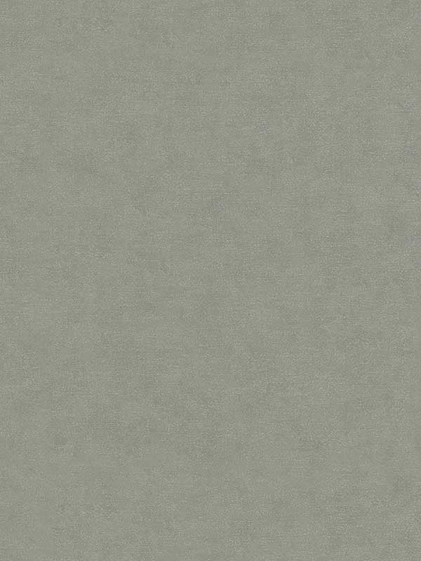 Plain Texture fabric in grey beige color - pattern number 32417 - by Galerie in the Flora collection