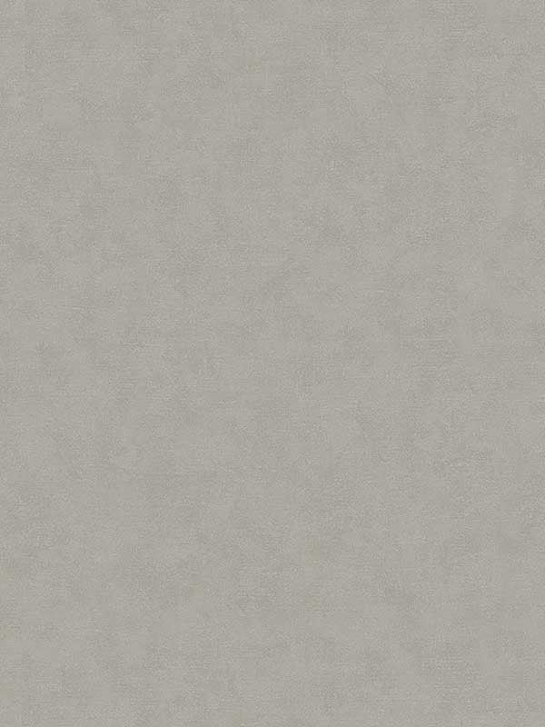 Plain Texture fabric in grey beige color - pattern number 32418 - by Galerie in the Flora collection