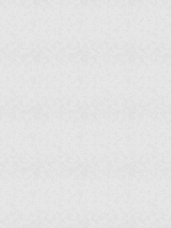 Plain Texture fabric in white grey color - pattern number 32436 - by Galerie in the Flora collection