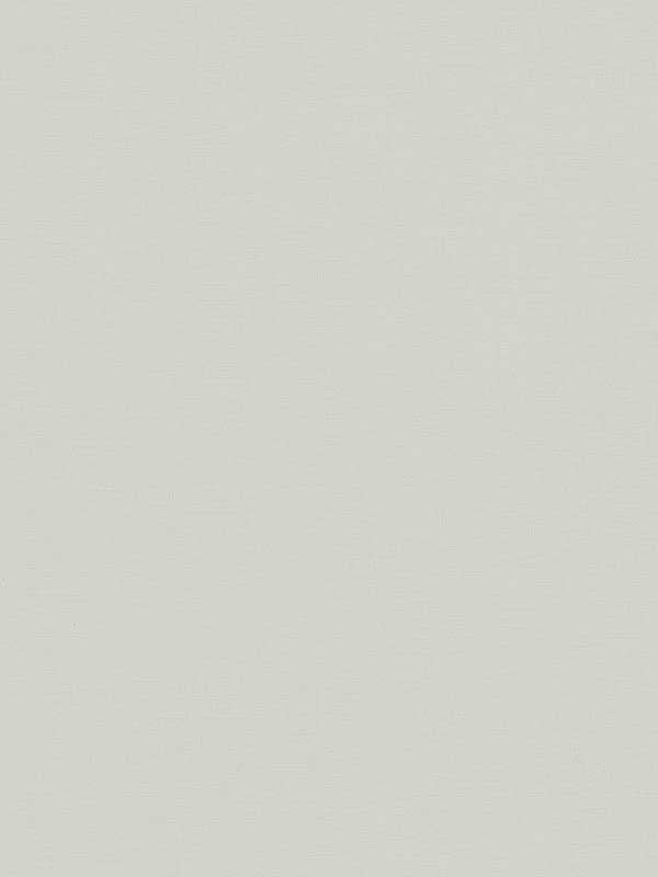 Matte Plain Texture wallpaper in beige color - pattern number 82347 - by Galerie in the Flora collection
