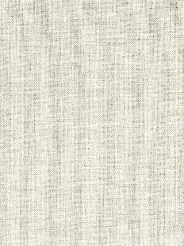 Sirpo wallpaper in ash color - pattern number W0210/01.CAC.0 - by Clarke and Clarke in the Expressions Performance Wallcoverings collection