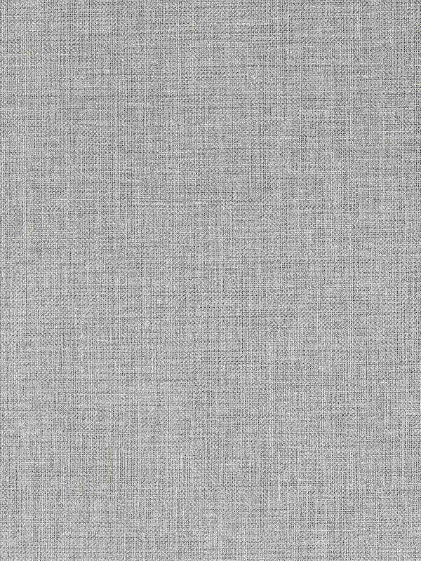 Sirpo wallpaper in slate color - pattern number W0210/04.CAC.0 - by Clarke and Clarke in the Expressions Performance Wallcoverings collection