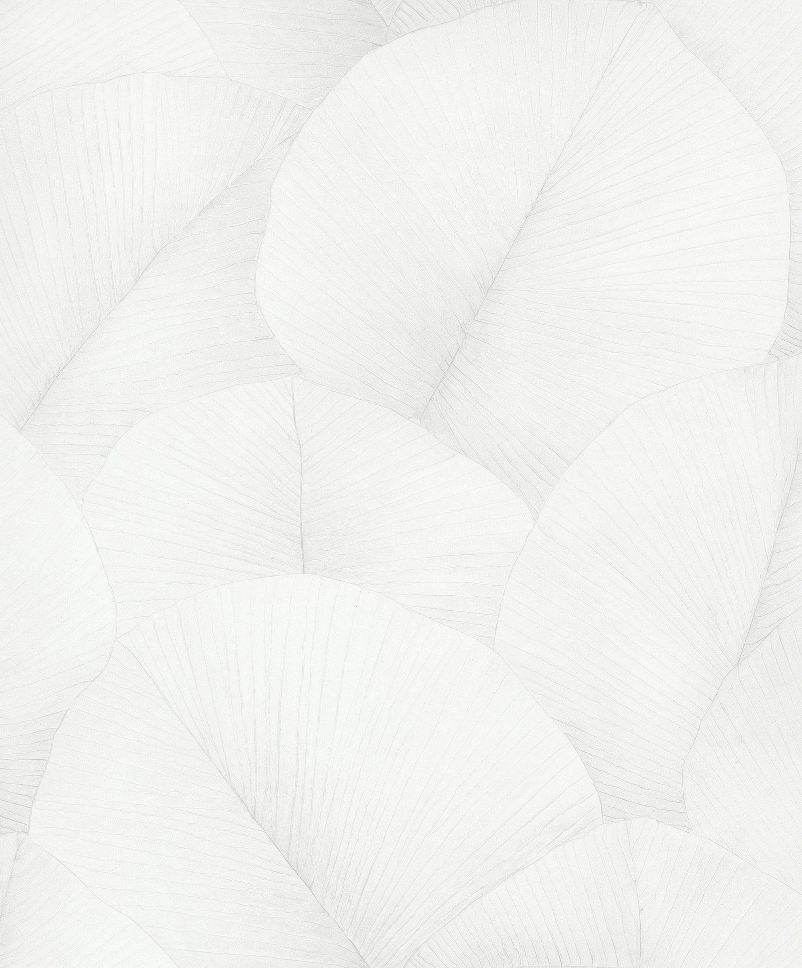 Palm Leaf wallpaper in white color - pattern number 34507 - by Galerie in the Kumano collection