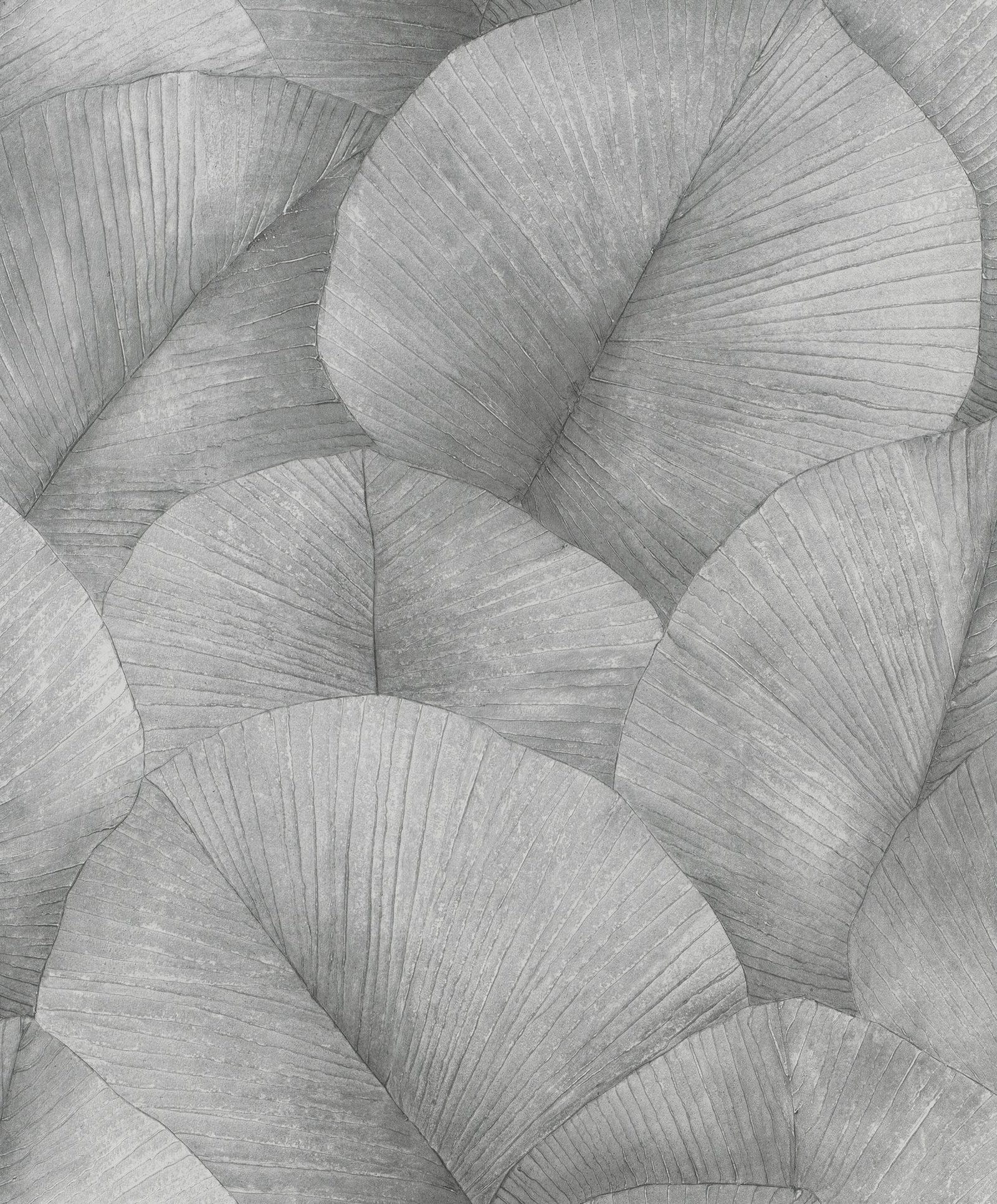 Palm Leaf wallpaper in silver grey color - pattern number 34508 - by Galerie in the Kumano collection