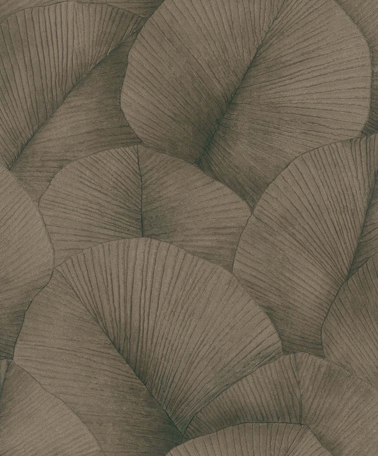 Palm Leaf wallpaper in bronze brown color - pattern number 34513 - by Galerie in the Kumano collection