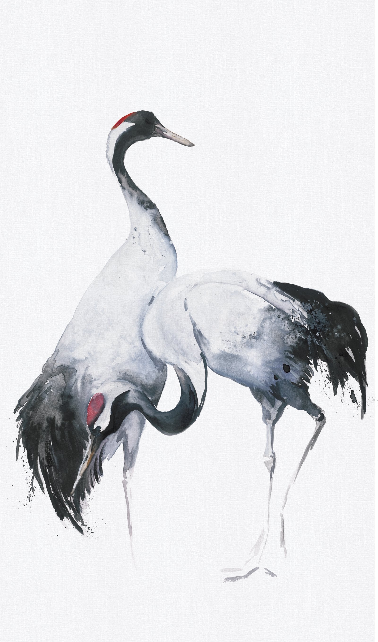 Painted Crane Mural mural in white color - pattern number 34596 - by Galerie in the Kumano collection