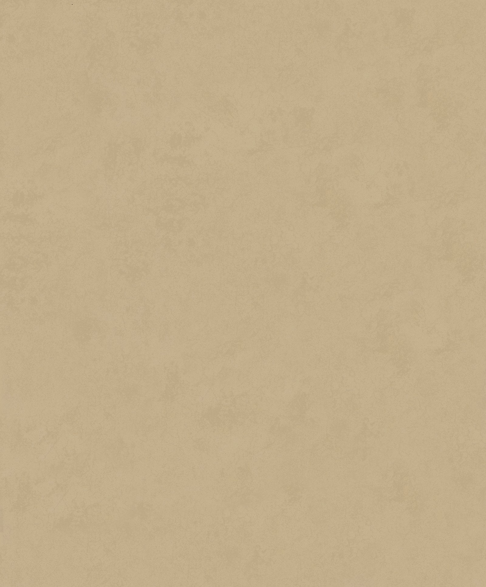 Plaster Effect wallpaper in beige color - pattern number TR34630 - by Galerie in the Terra collection