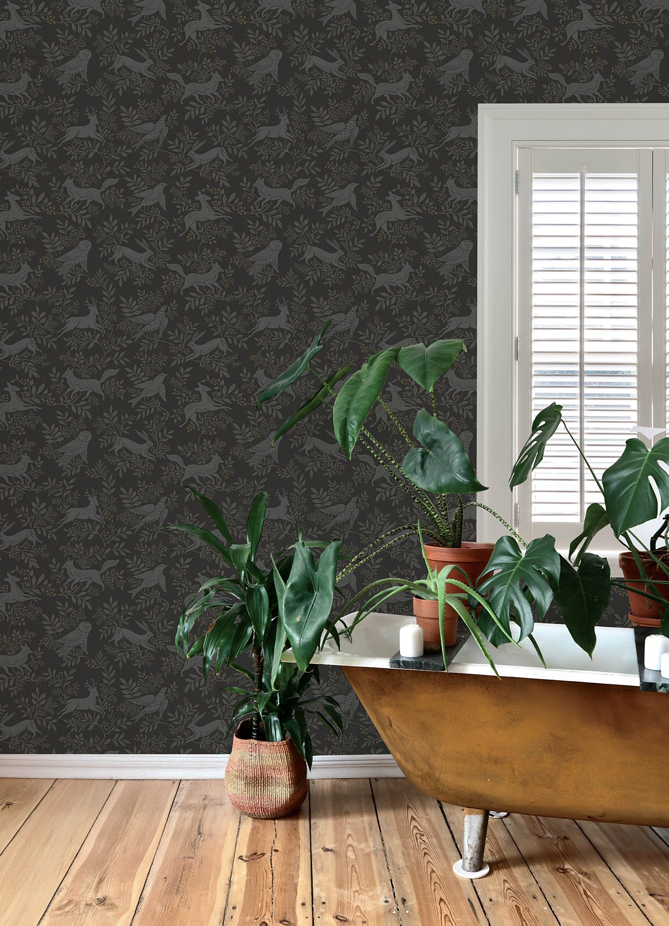 Revelry wallpaper in black color - pattern number 4169-83114 - by Chesapeake in the Oak and Moss collection