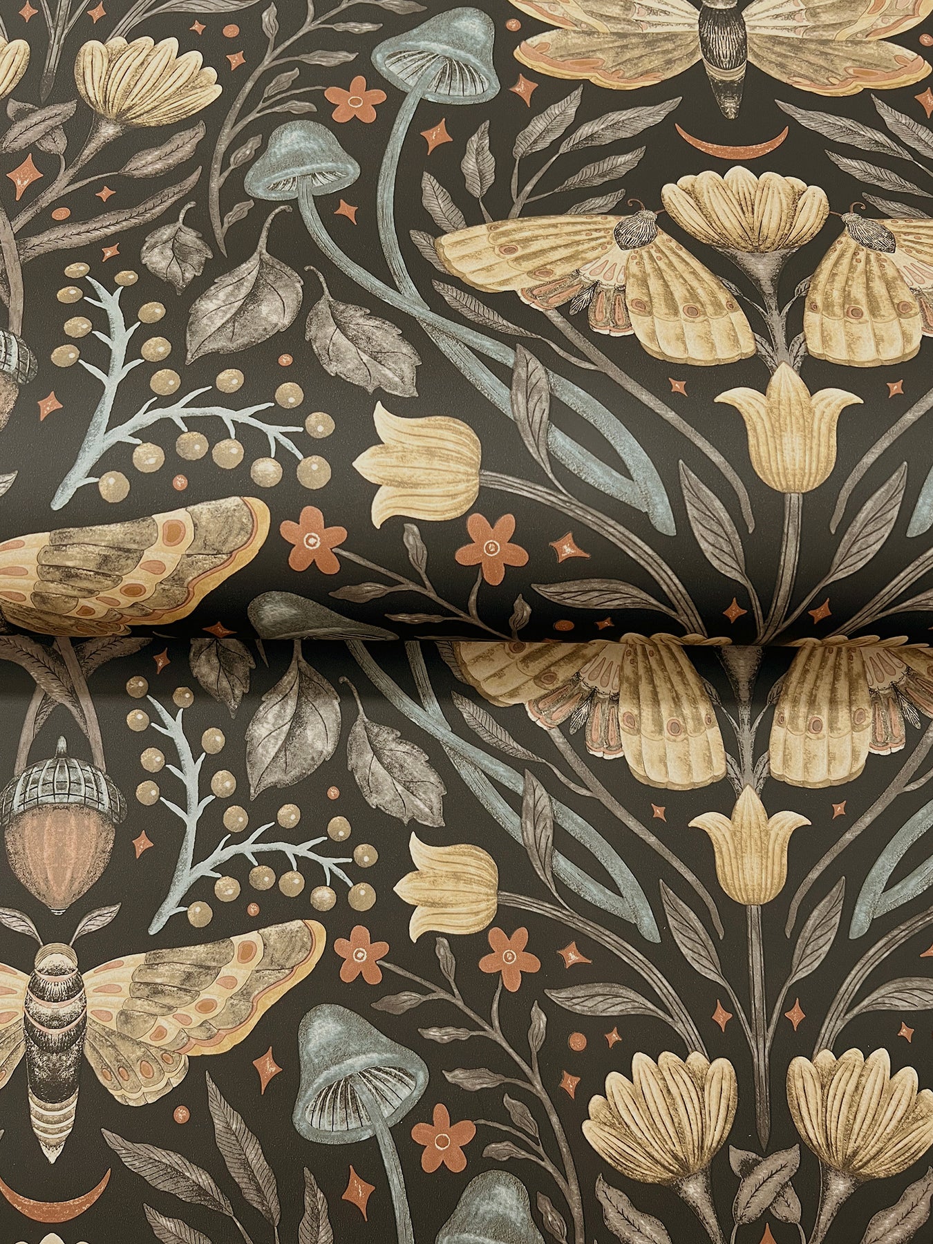 Mystic Moth wallpaper in black color - pattern number 4169-83116 - by Chesapeake in the Oak and Moss collection
