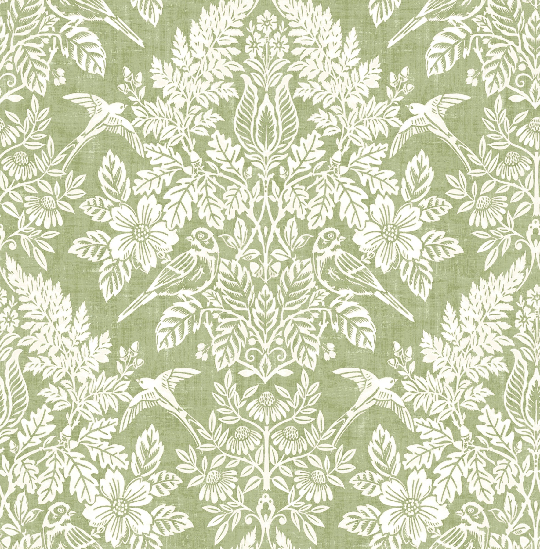 Finch wallpaper in light green color - pattern number 4173-27620 - by A Street Prints in the Chris Loves Julia collection
