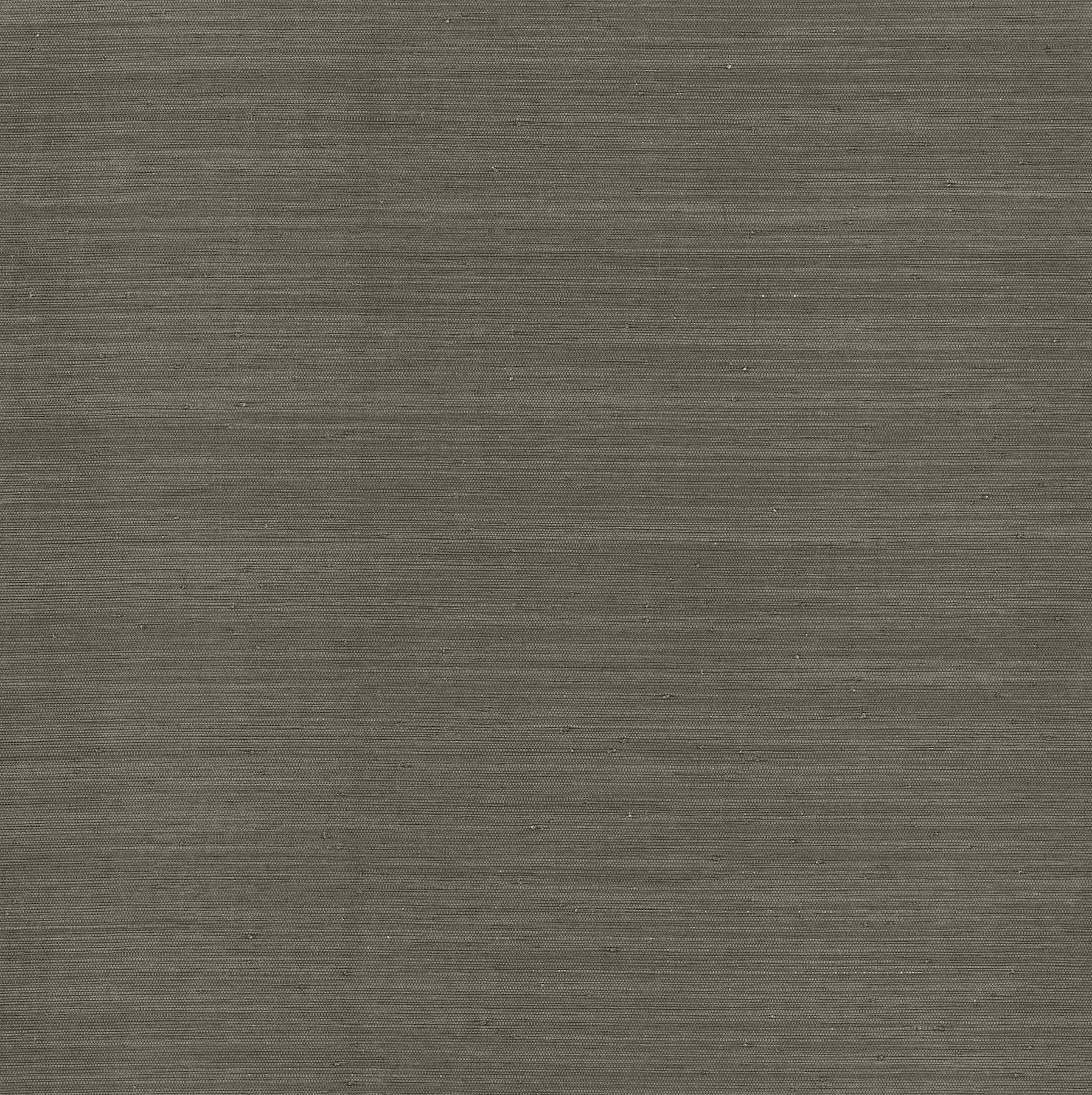 Mycroft wallpaper in slate color - pattern number 4173-82103 - by A Street Prints in the Chris Loves Julia collection