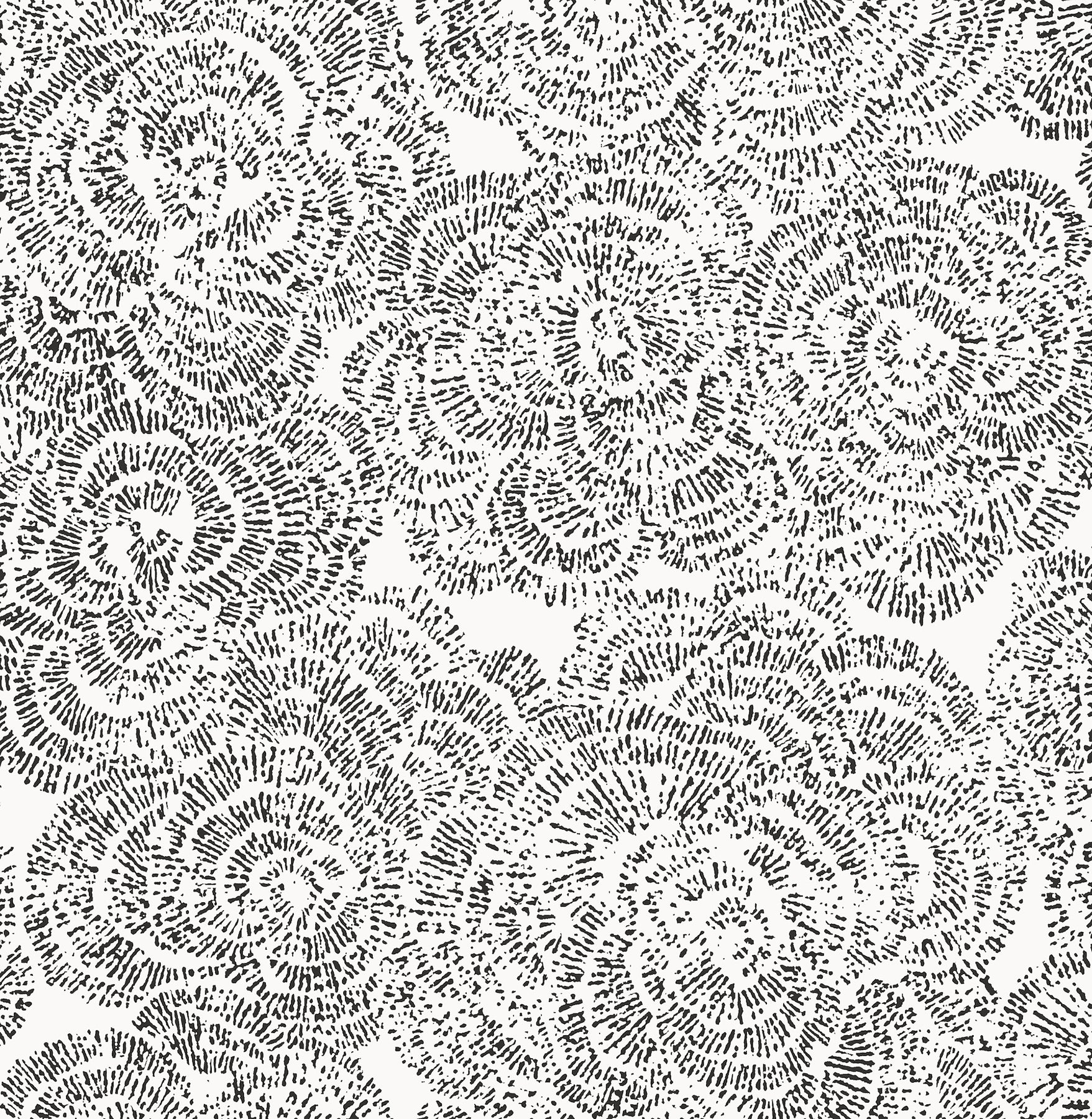 Ambroise Wallpaper in black color - pattern number 4197-27854 - by A Street Prints in the Kaleidoscope collection