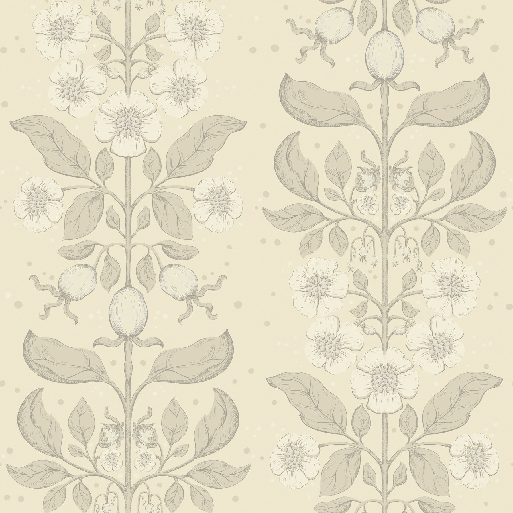 Rosa wallpaper in cream color - pattern number 4201-48009 - by A Street Prints in the Savanna collection