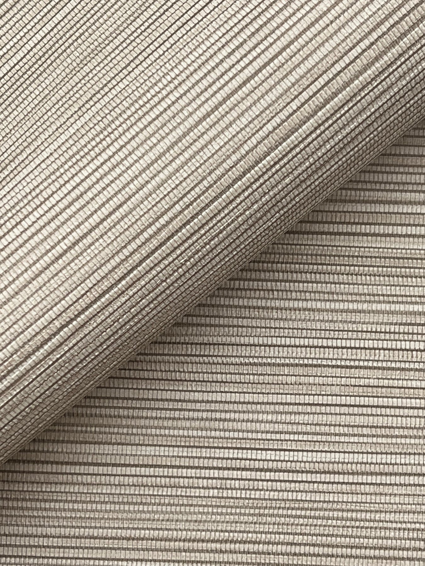 Lorn fabric in light brown color - pattern number 4207-5431 - by Warner in the Textures and Wovens Resource collection