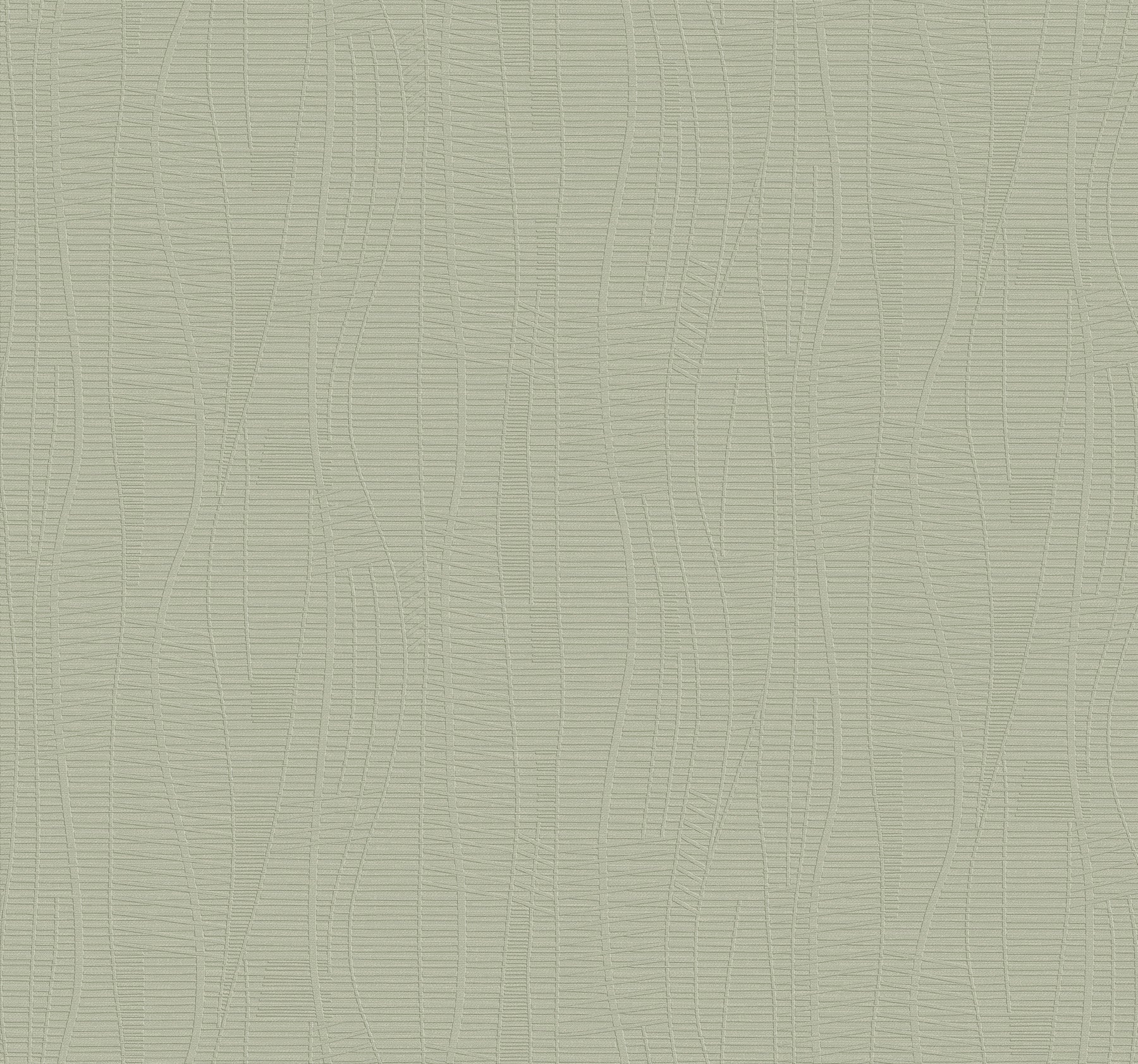Amir wallpaper in light green color - pattern number 4207-5445 - by Warner in the Textures and Wovens Resource collection