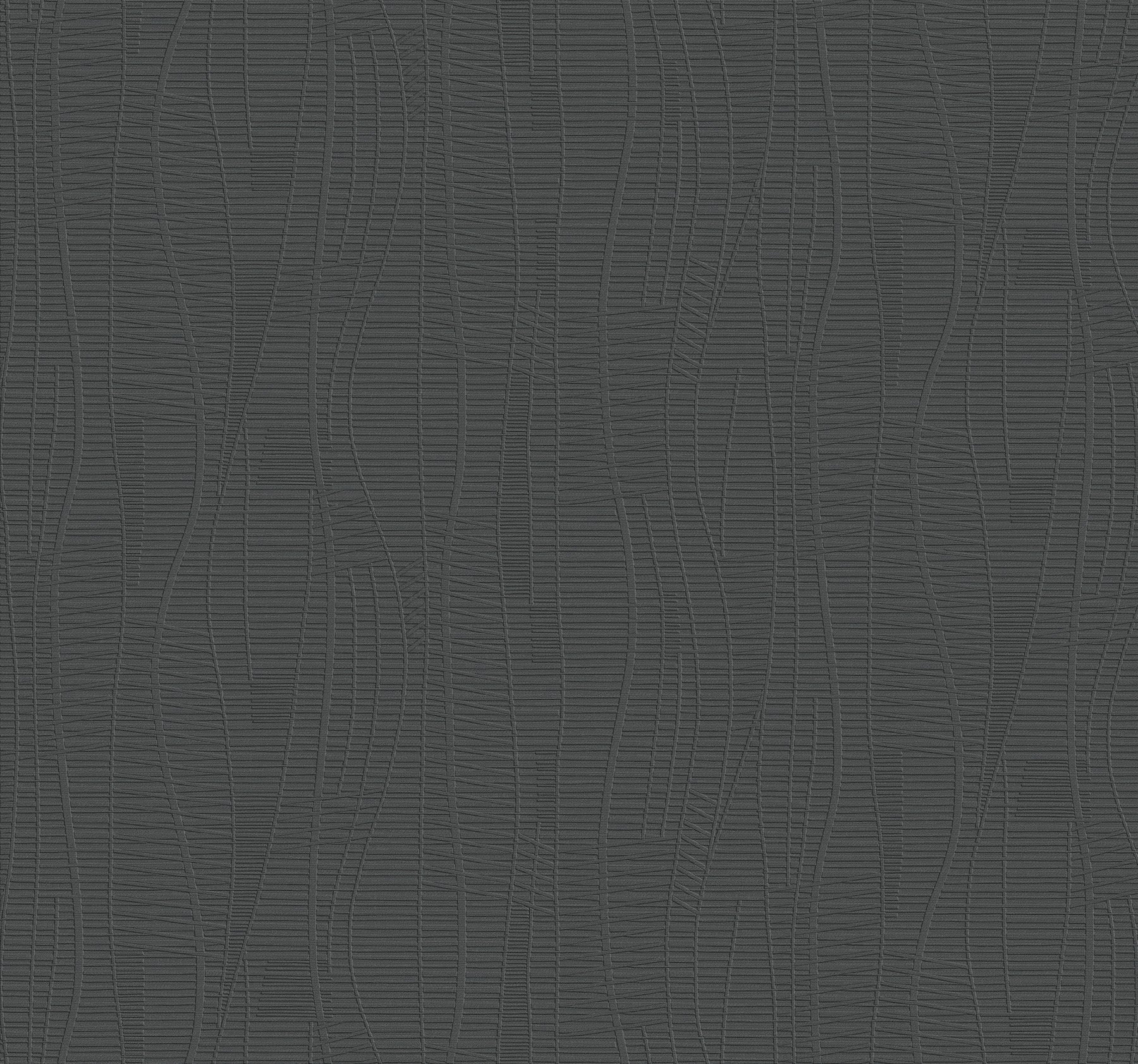 Amir wallpaper in black color - pattern number 4207-5448 - by Warner in the Textures and Wovens Resource collection