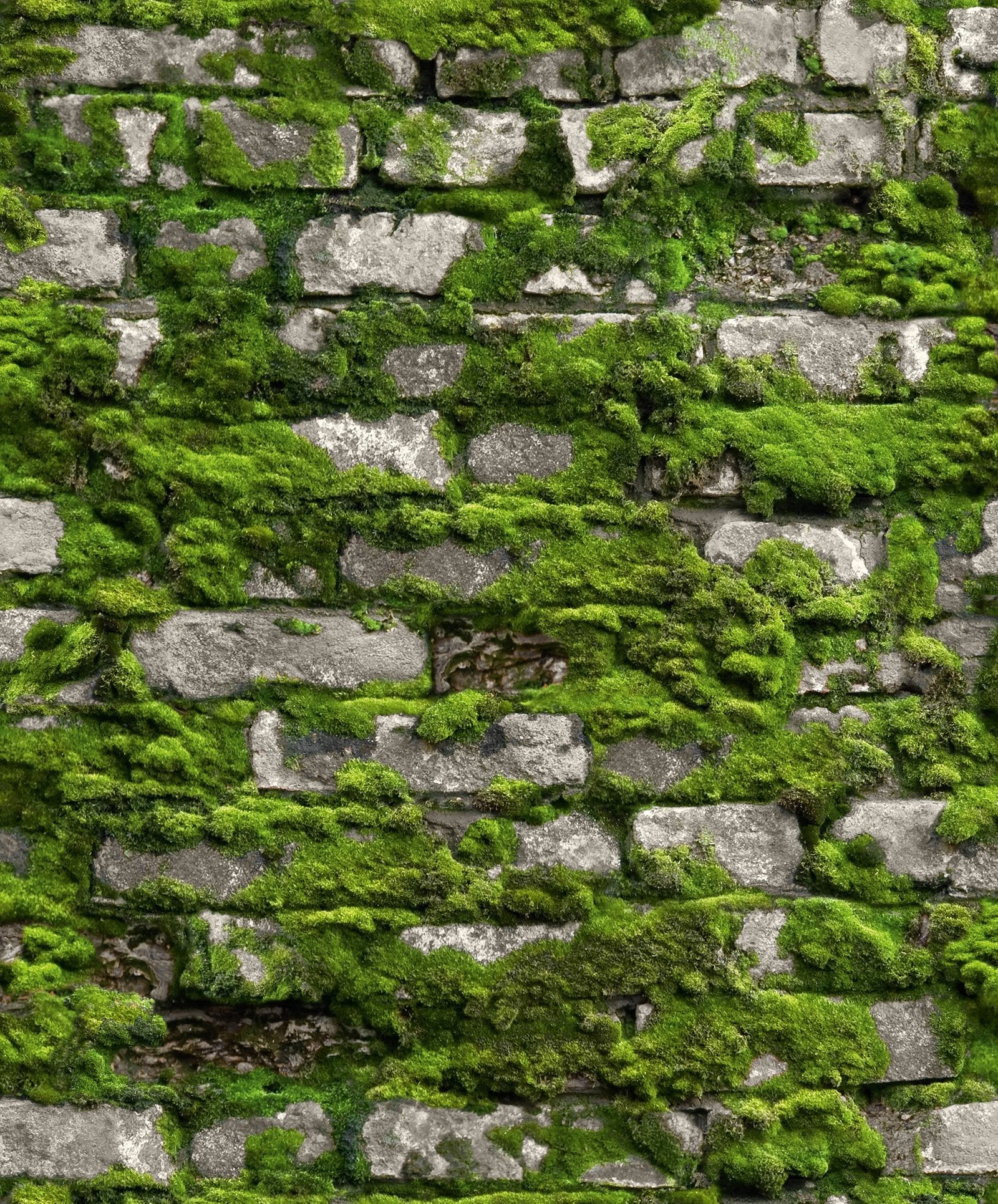 Stone optic wallpaper in green color - pattern number 45731 - by Galerie in the The Bricks And More collection
