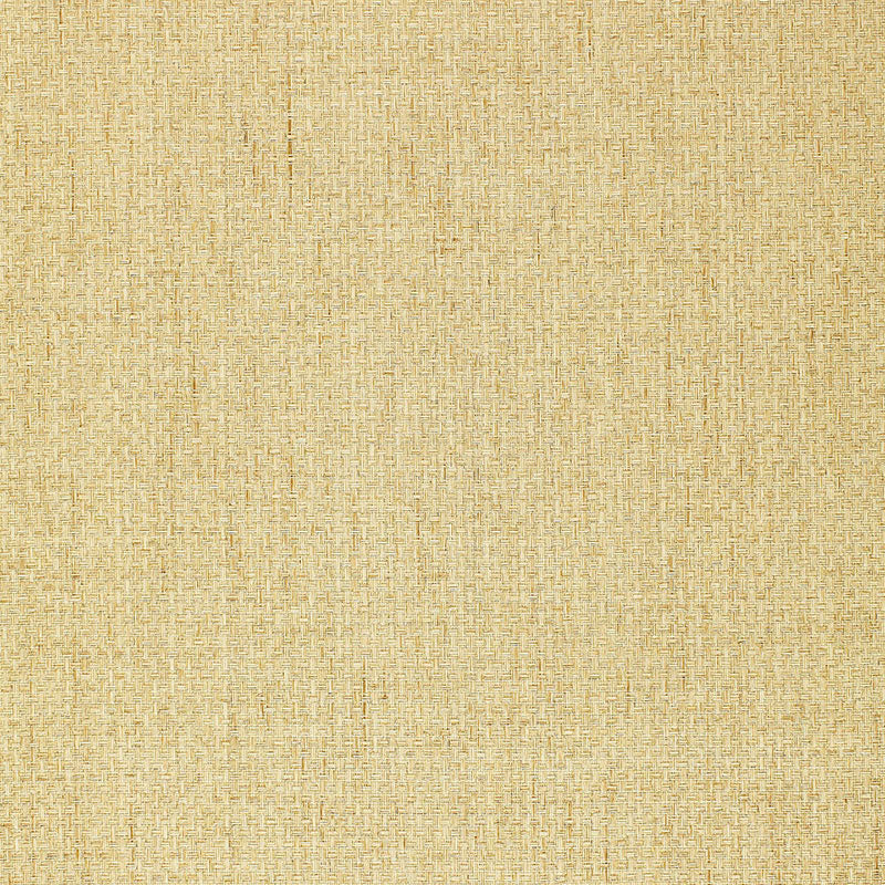 Goza Weave wallpaper in beige color - pattern number 5002991 - by Schumacher in the Quiet Beauty collection