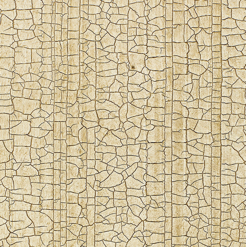 Masaccio Ground wallpaper in champagne color - pattern number 5003761 - by Schumacher in the Palazzo Damasks collection