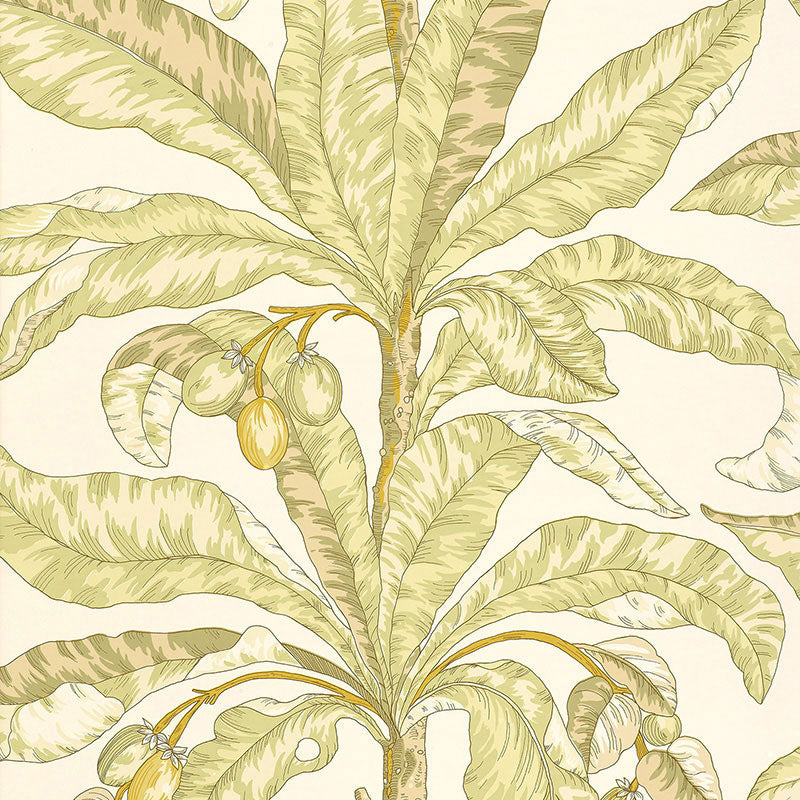 Blair House Palm wallpaper in kiwi color - pattern number 5004062 - by Schumacher in the Tropicana collection