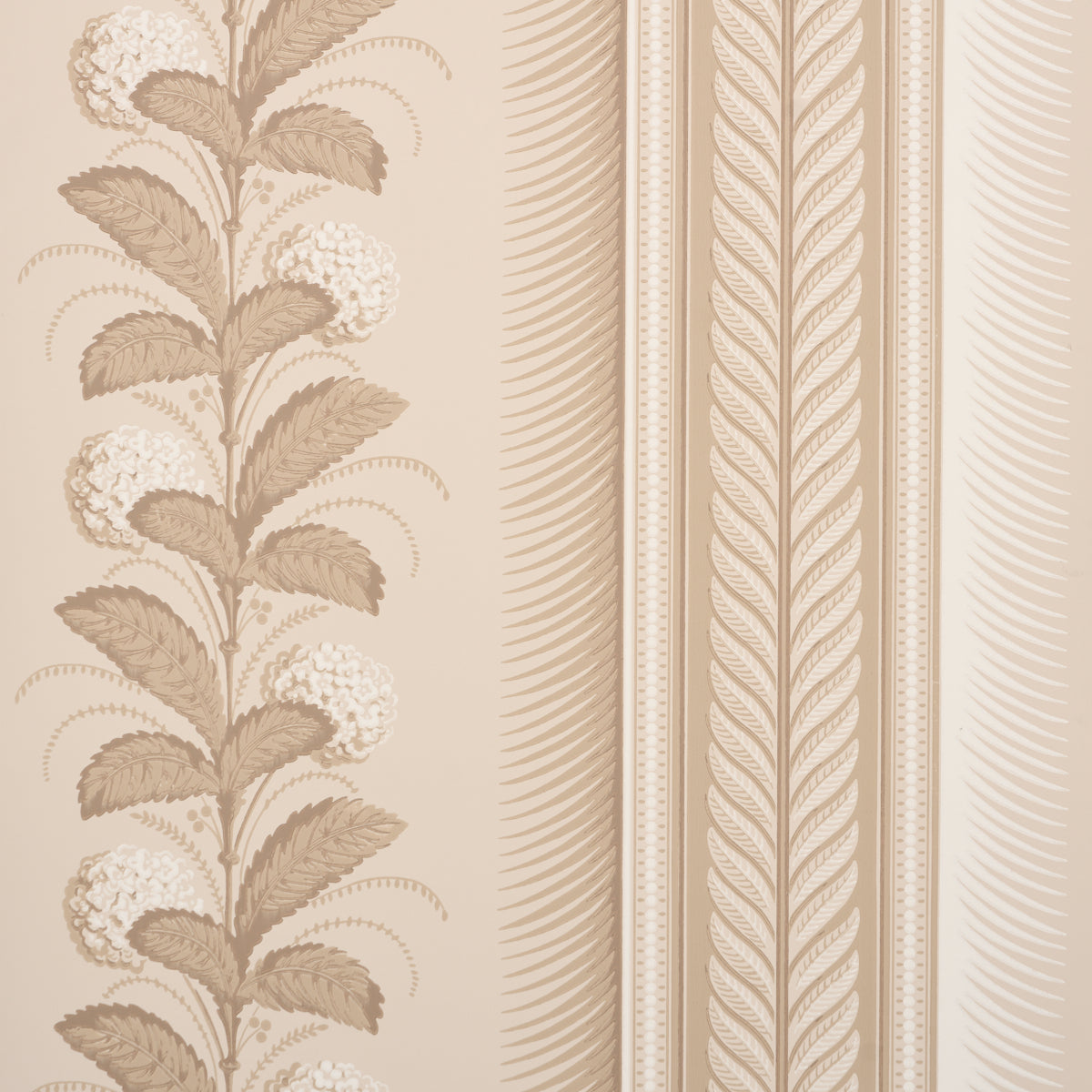 Hydrangea Drape wallpaper in fawn color - pattern number 5004453 - by Schumacher in the Greenhouse Schumacher collection