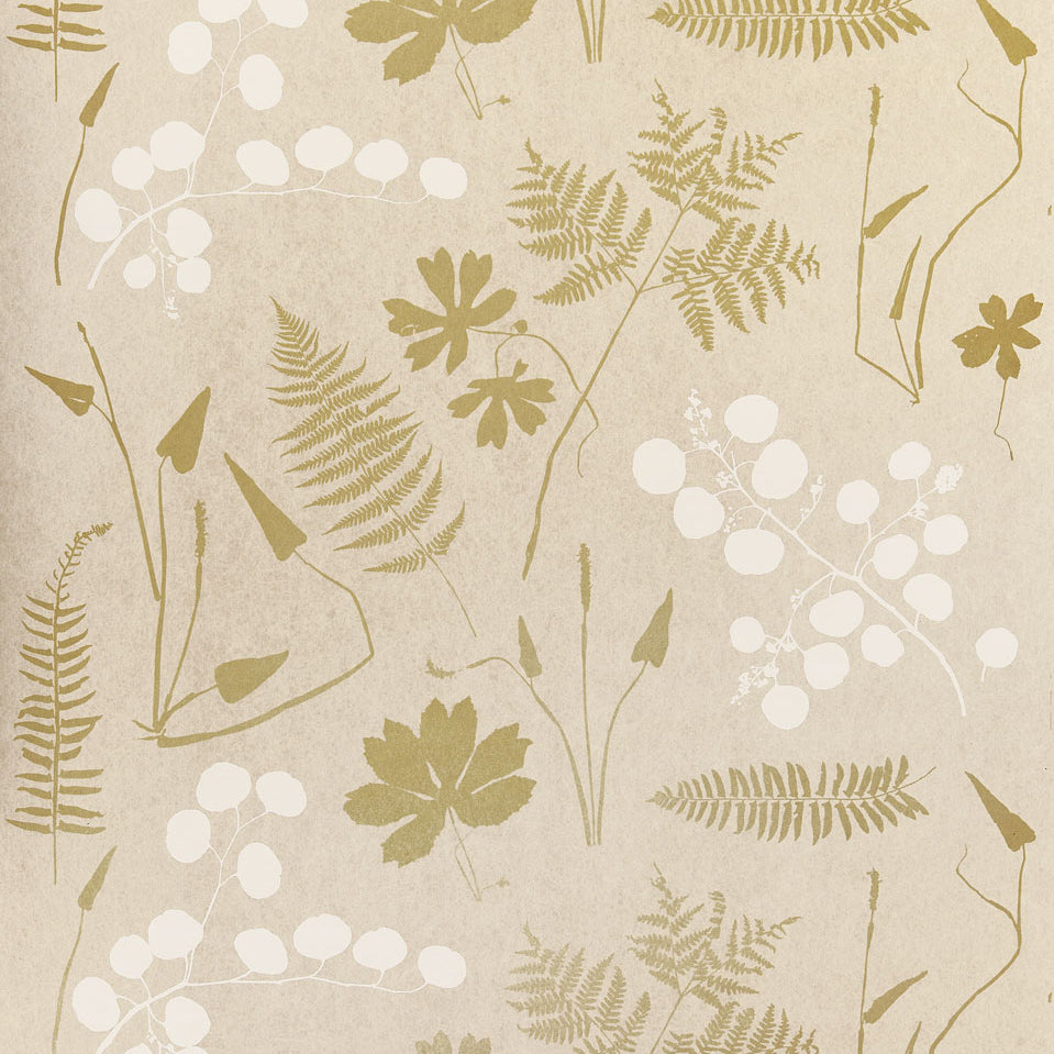 Modern Botanical fabric in parchment color - pattern number 5005010 - by Schumacher in the Modern Nature collection