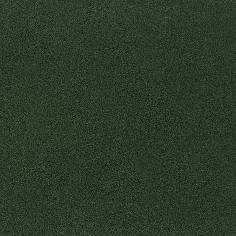Canyon Leather fabric in hunter color - pattern number 5006214 - by Schumacher in the Luxe Lodge collection