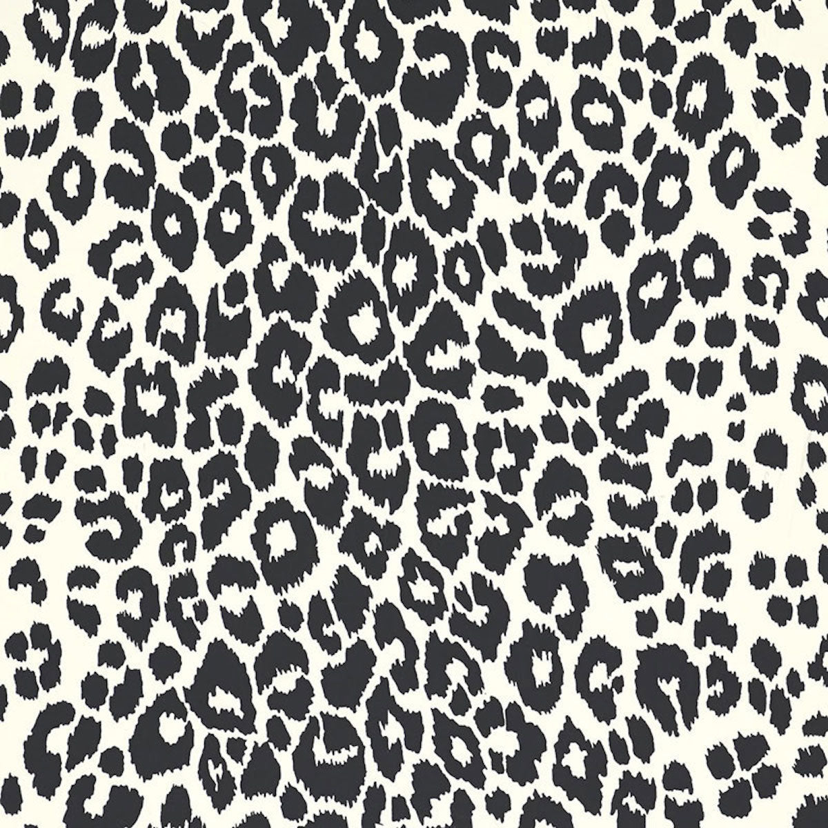 Iconic Leopard wallpaper in graphite color - pattern number 5007012 - by Schumacher in the Print Happy Wallpapers collection