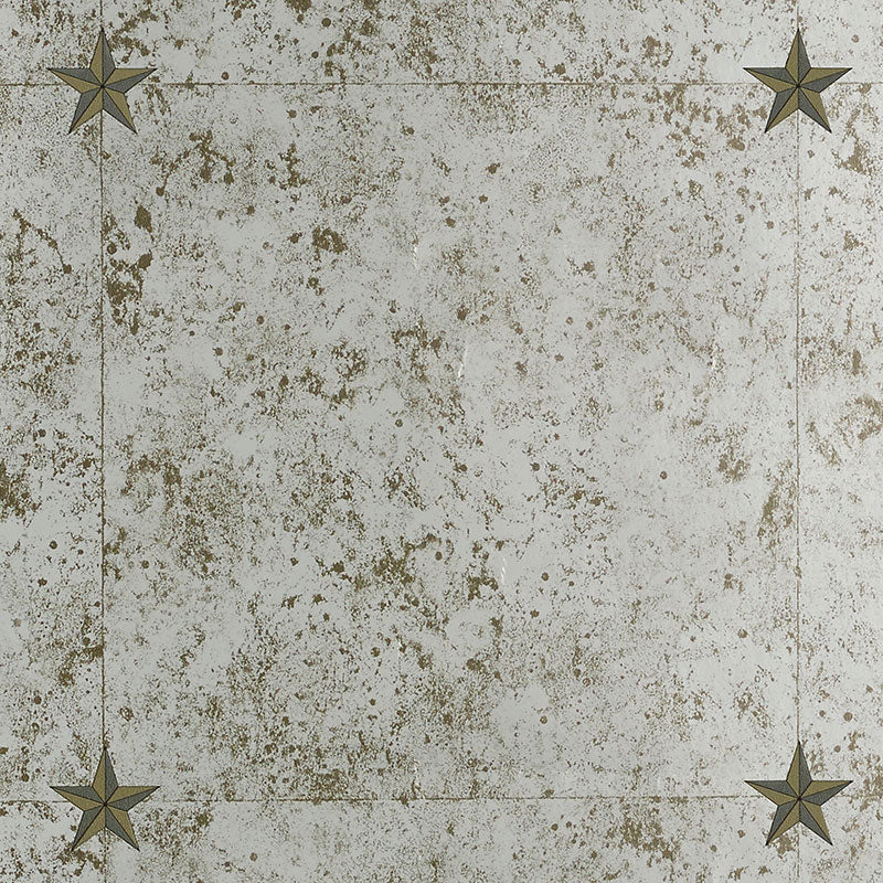Glass Paneling fabric in silver color - pattern number 5007760 - by Schumacher in the Miles Redd collection
