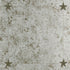 Glass Paneling fabric in silver color - pattern number 5007760 - by Schumacher in the Miles Redd collection
