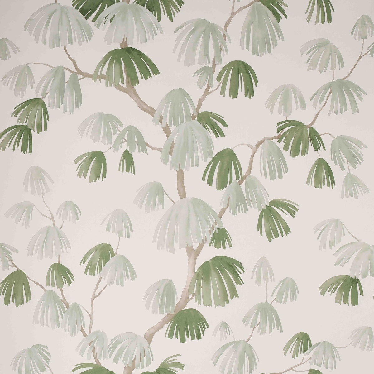 Weeping Pine wallpaper in sage color - pattern number 5008332 - by Schumacher in the David Kaihoi collection