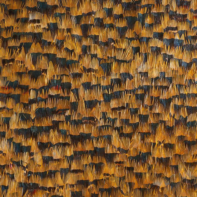 Citrine wallpaper in lemon color - pattern number 5008372 - by Schumacher in the Plume collection