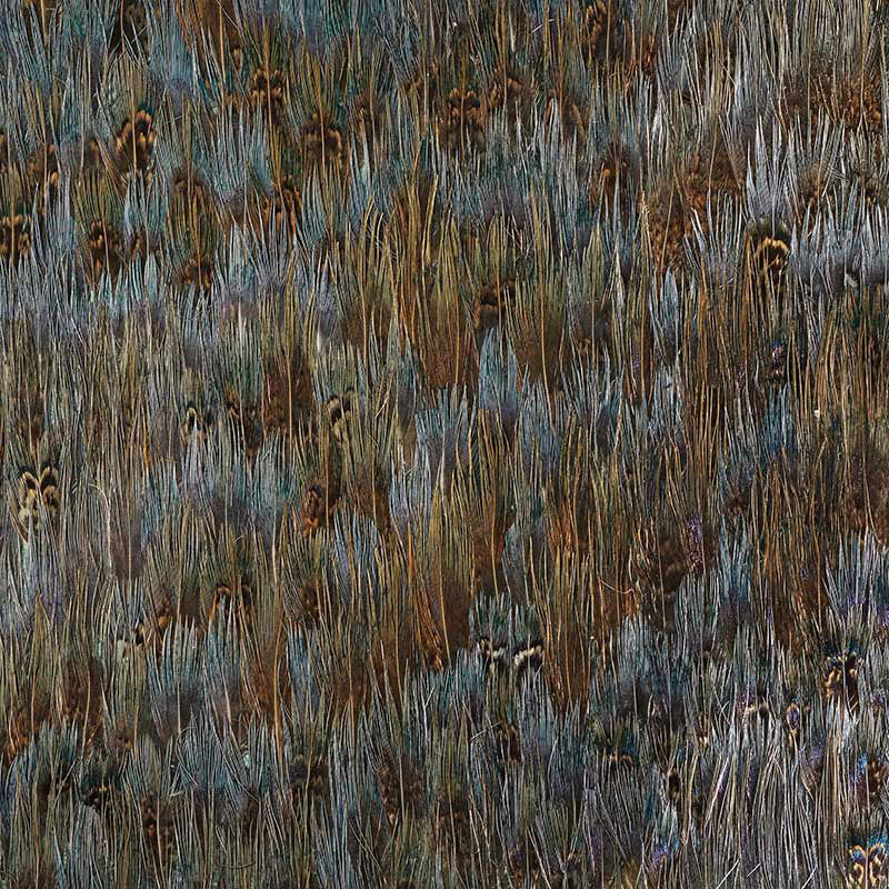 Mica wallpaper in turquoise blue color - pattern number 5008375 - by Schumacher in the Plume collection
