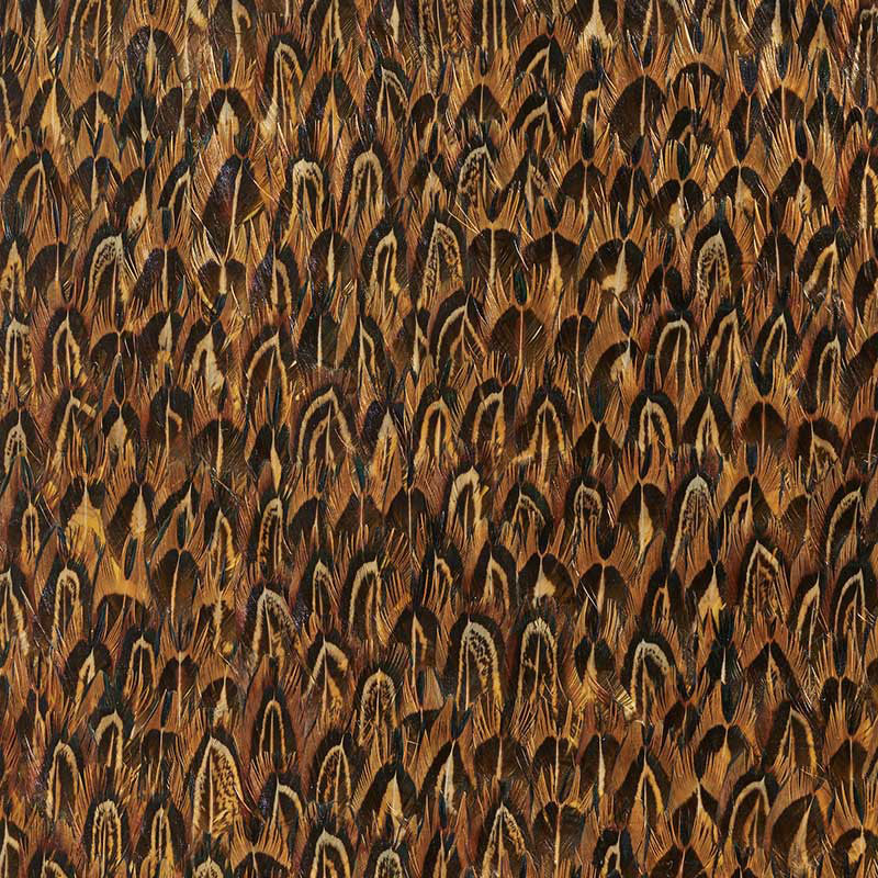 Gold wallpaper in quail color - pattern number 5008376 - by Schumacher in the Plume collection
