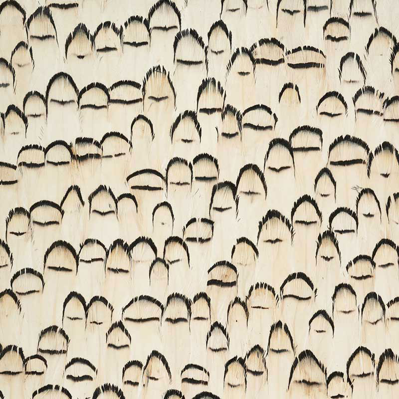 Rock Crystal wallpaper in white color - pattern number 5008386 - by Schumacher in the Plume collection