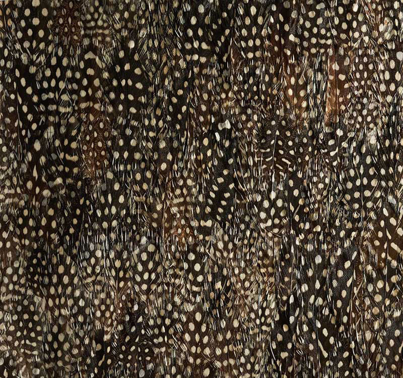Krypton wallpaper in black pearl color - pattern number 5008390 - by Schumacher in the Plume collection
