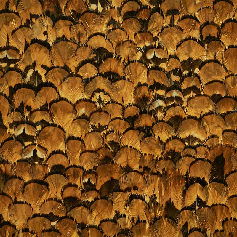 Limonite wallpaper in apricot color - pattern number 5008392 - by Schumacher in the Plume collection